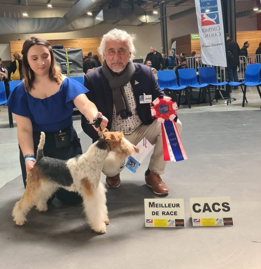 Du clos des amoureux - Dog Show Vesoul