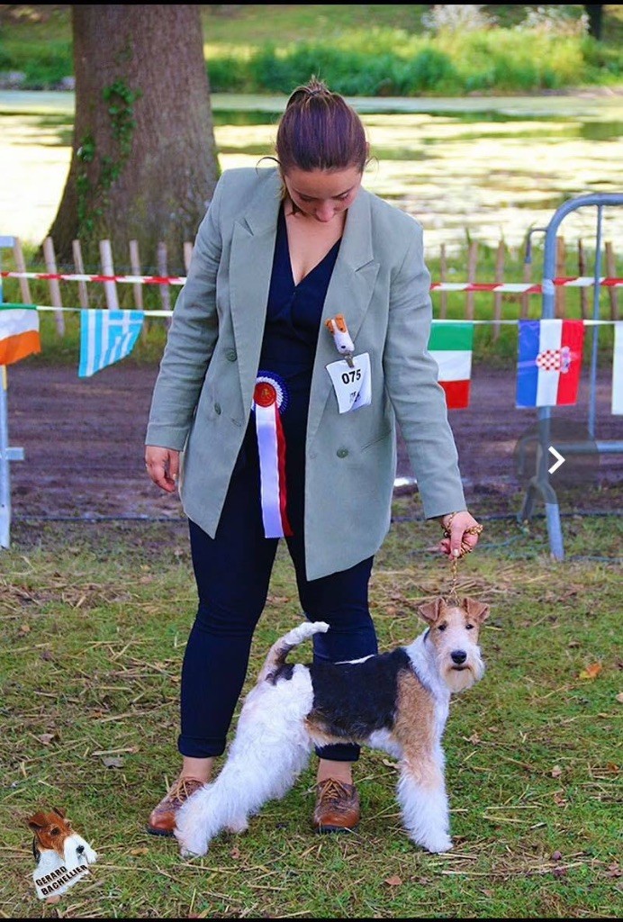 Du clos des amoureux - DOG SHOW POITIERS
